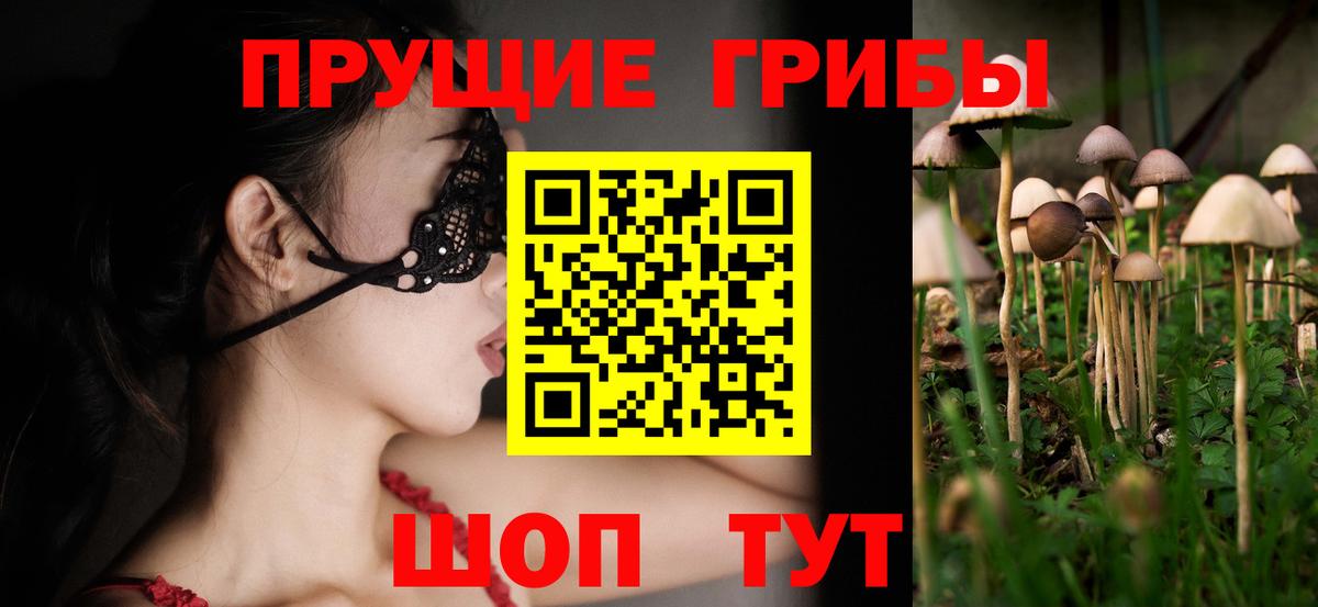 Псилоцибиновые грибы Psilocybine cubensis Кызыл
